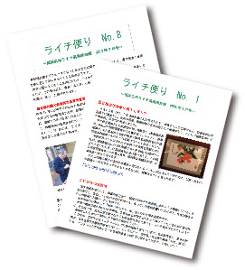 ライチ便り